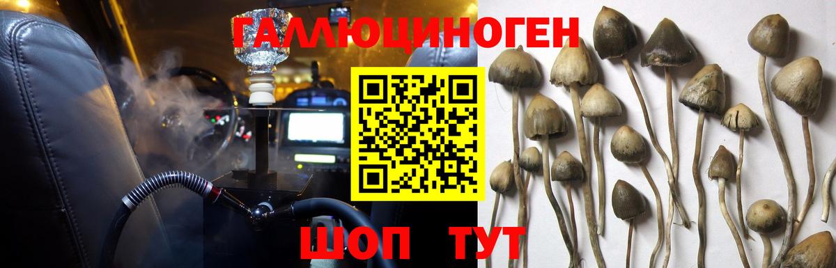 Северск  Галлюциногенные грибы мухоморы  Галлюциногенные грибы Cubensis  Вход с VPN 